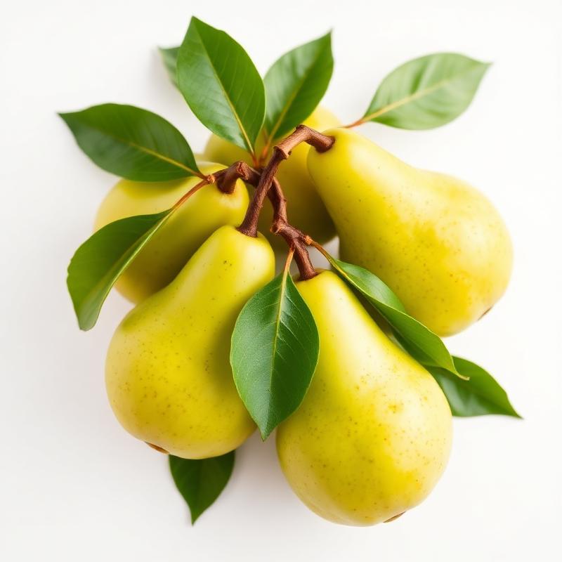Pear