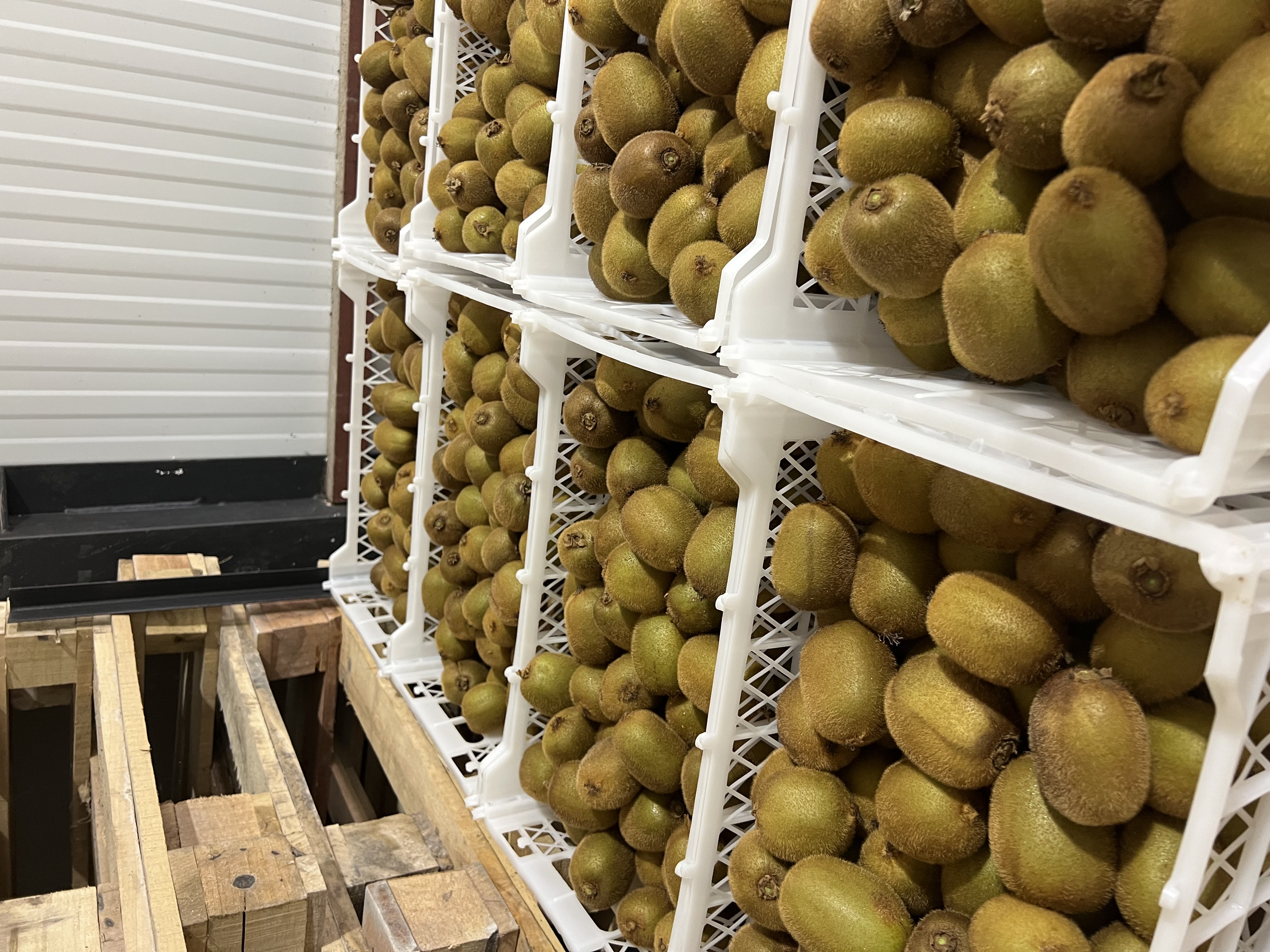 Cold storage warehouse